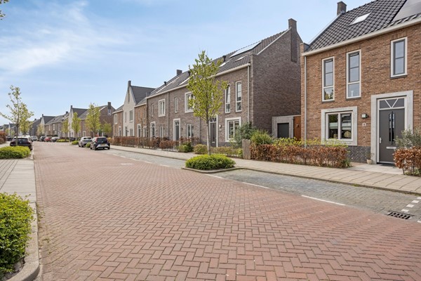 Fluwijn82693EAsGravenzande-01 (Aangepast).jpg